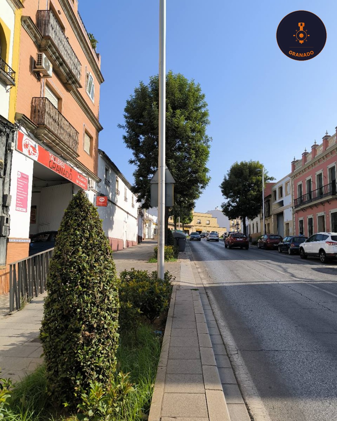 Seguridad vial